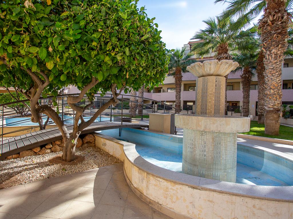 Μεζονέτα-Δήμος Πάφου-PR43650