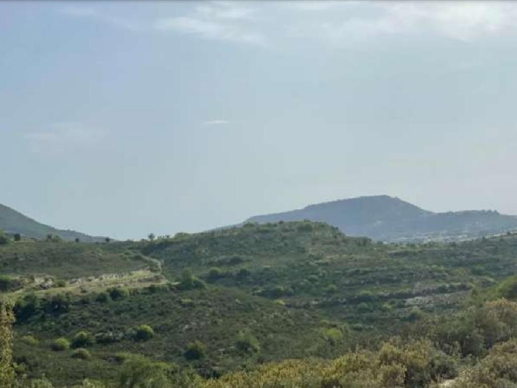 Field-Pachna-PR36276