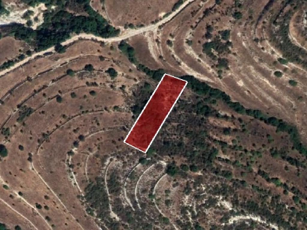 Field-Pachna-PR36276