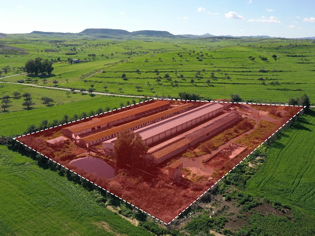 Farm - Petrofani, Larnaca