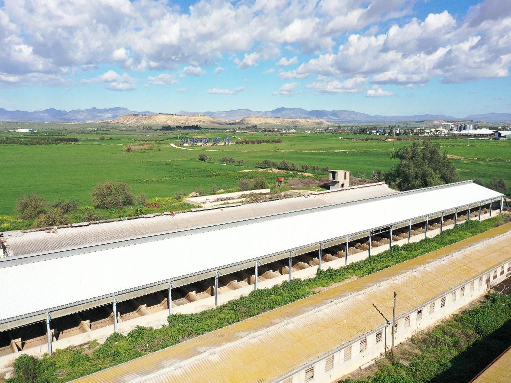 Farm - Petrofani, Larnaca