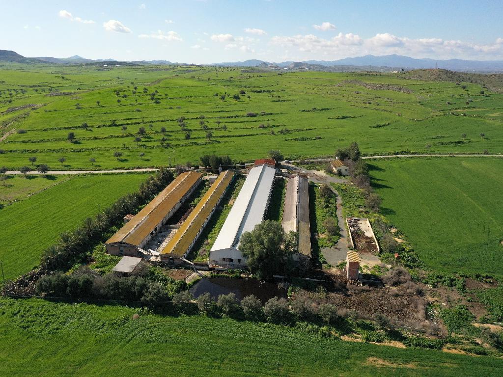 Farm - Petrofani, Larnaca