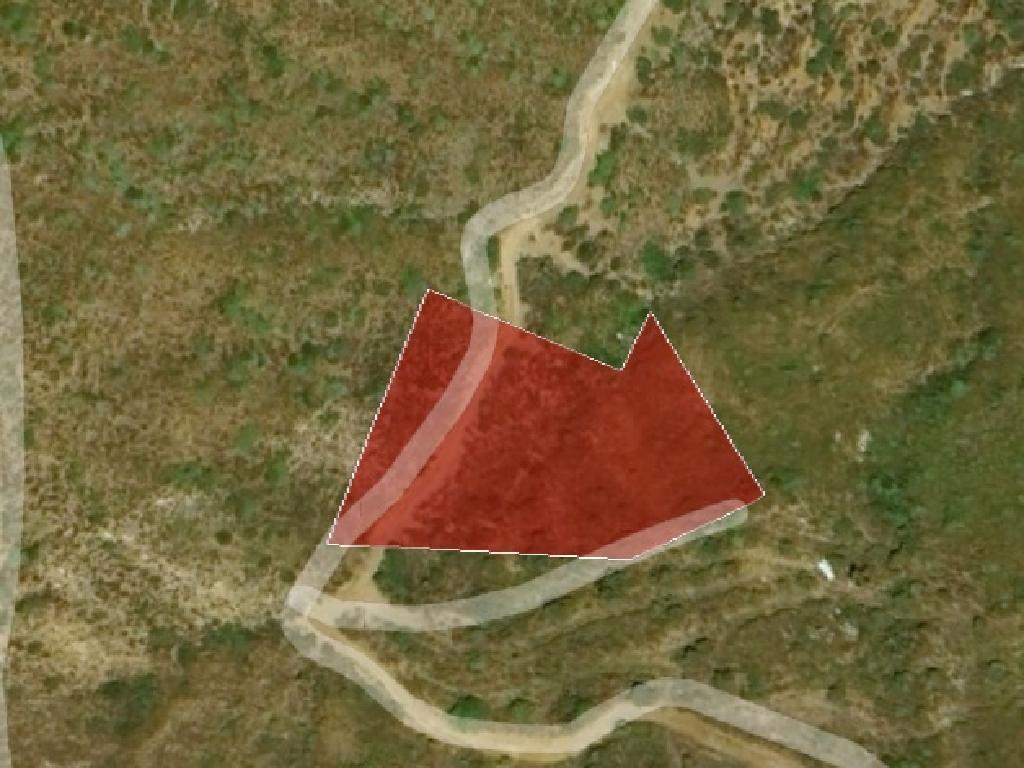 Field-Ora-PR36762