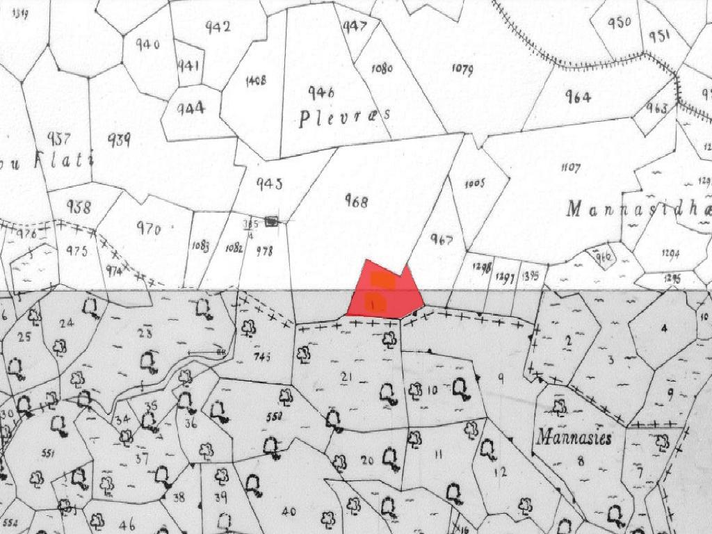 Field-Ora-PR36762