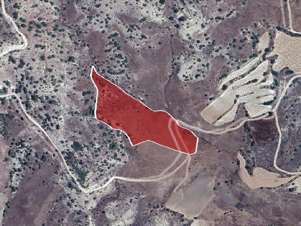 Field-Amargeti-PR39460