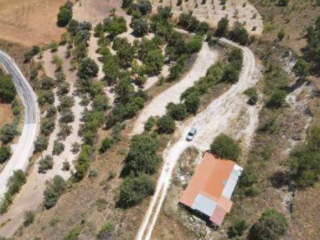 Field-Simou-PR39779