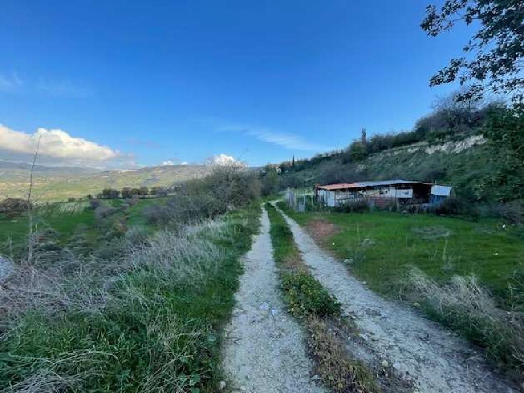 Field-Simou-PR39779
