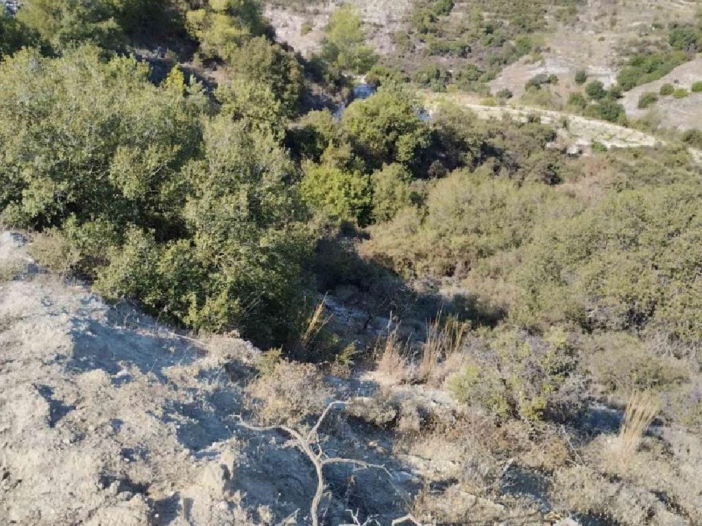 Field-Polemi-PR40928