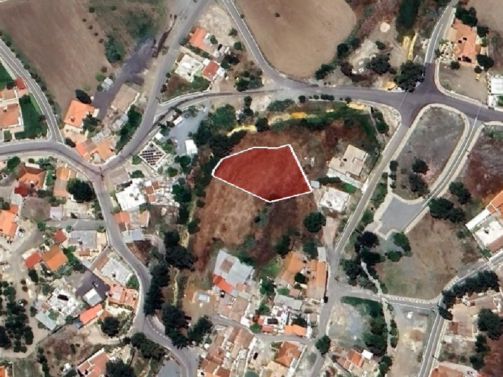 Field-Analiontas-PR41039