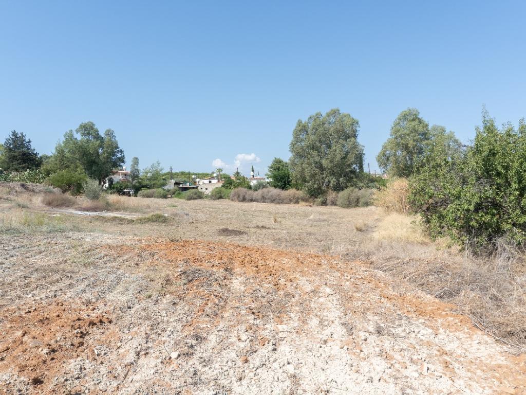 Field (Share) - Analiontas, Nicosia
