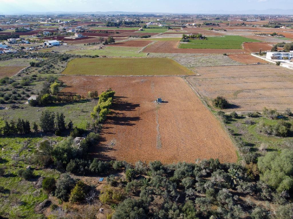 Field-Xylofagou-PR41401