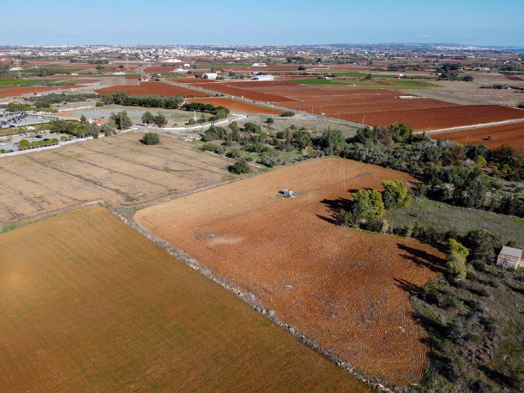 Field-Xylofagou-PR41401