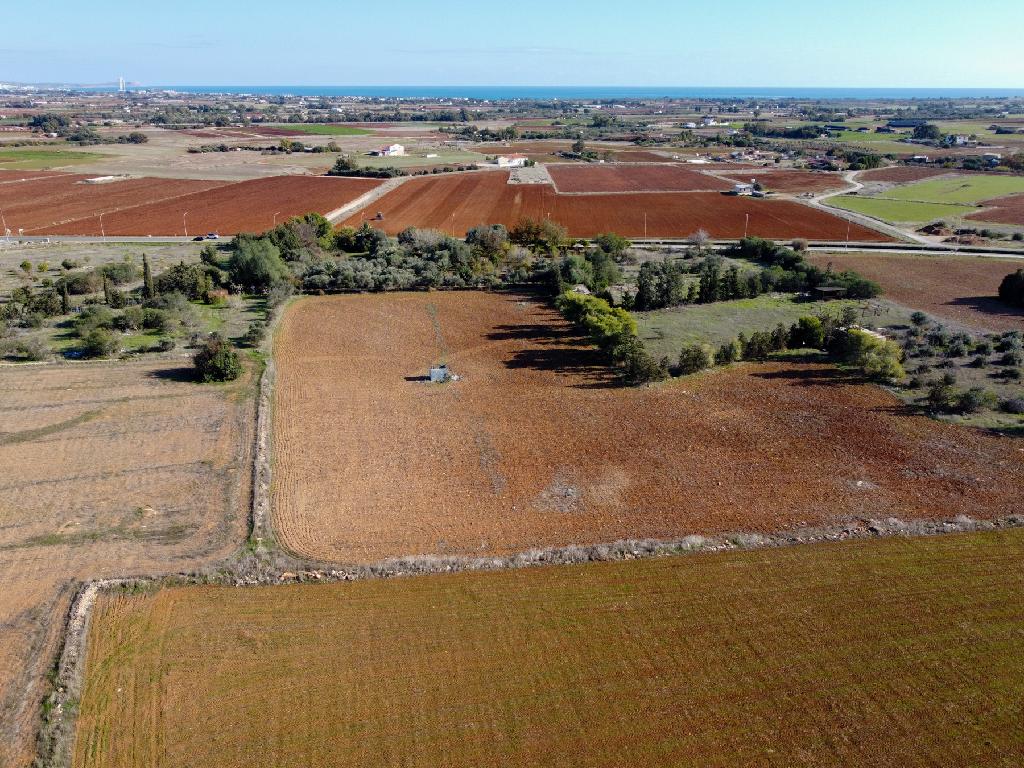 Field-Xylofagou-PR41401