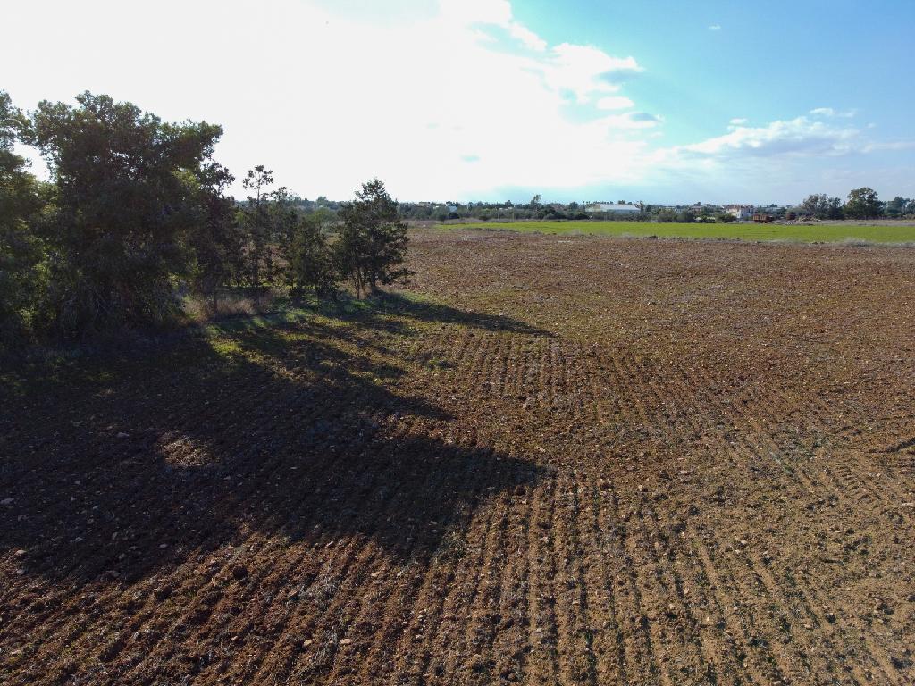 Field-Xylofagou-PR41401