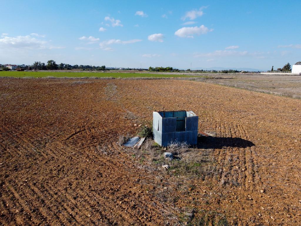 Field-Xylofagou-PR41401