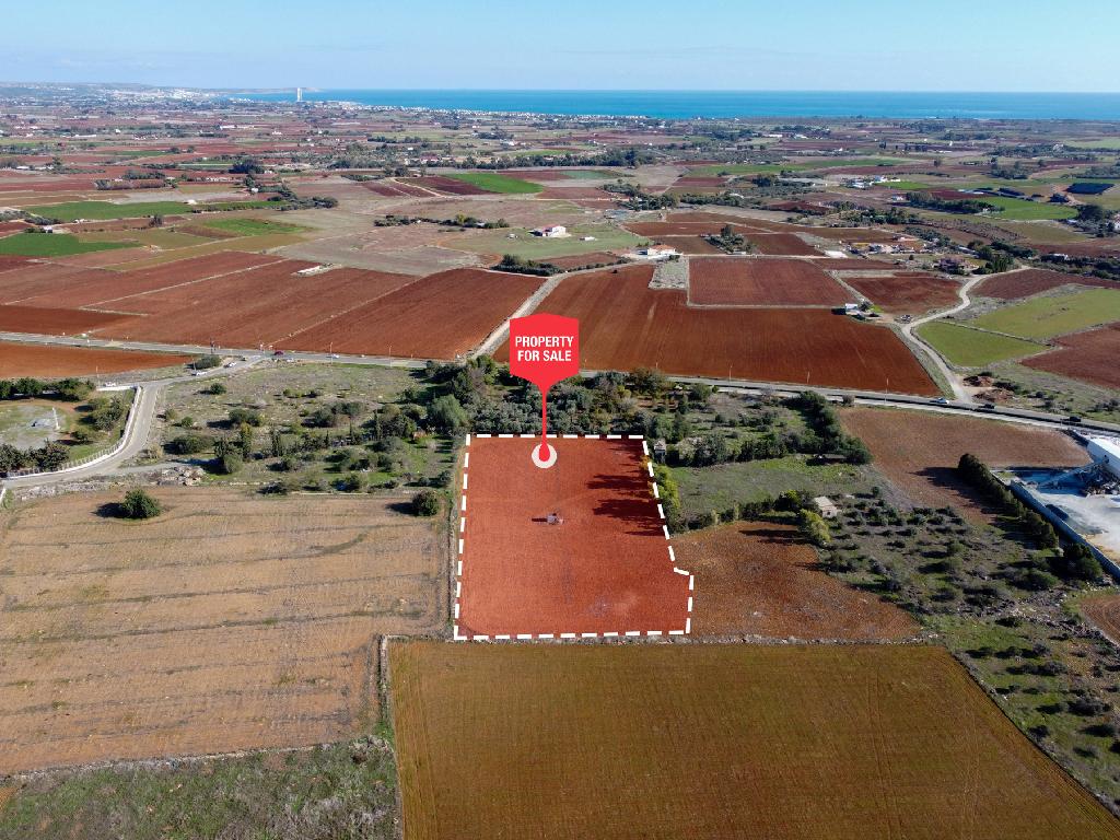Field-Xylofagou-PR41401