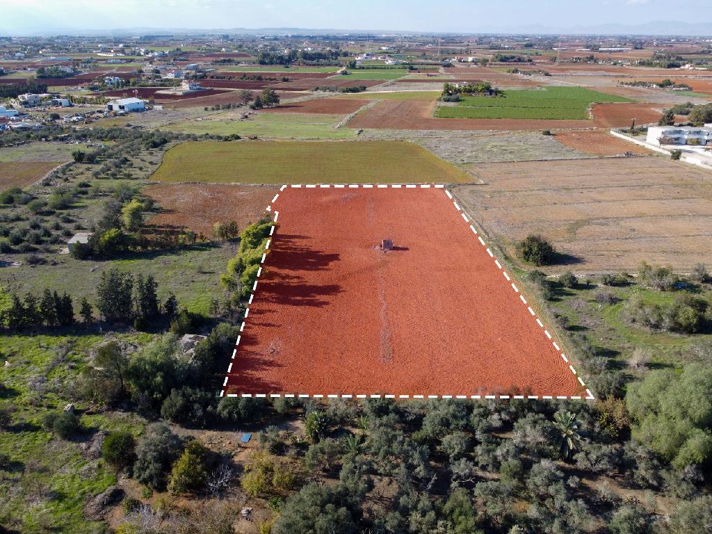 Field-Xylofagou-PR41401