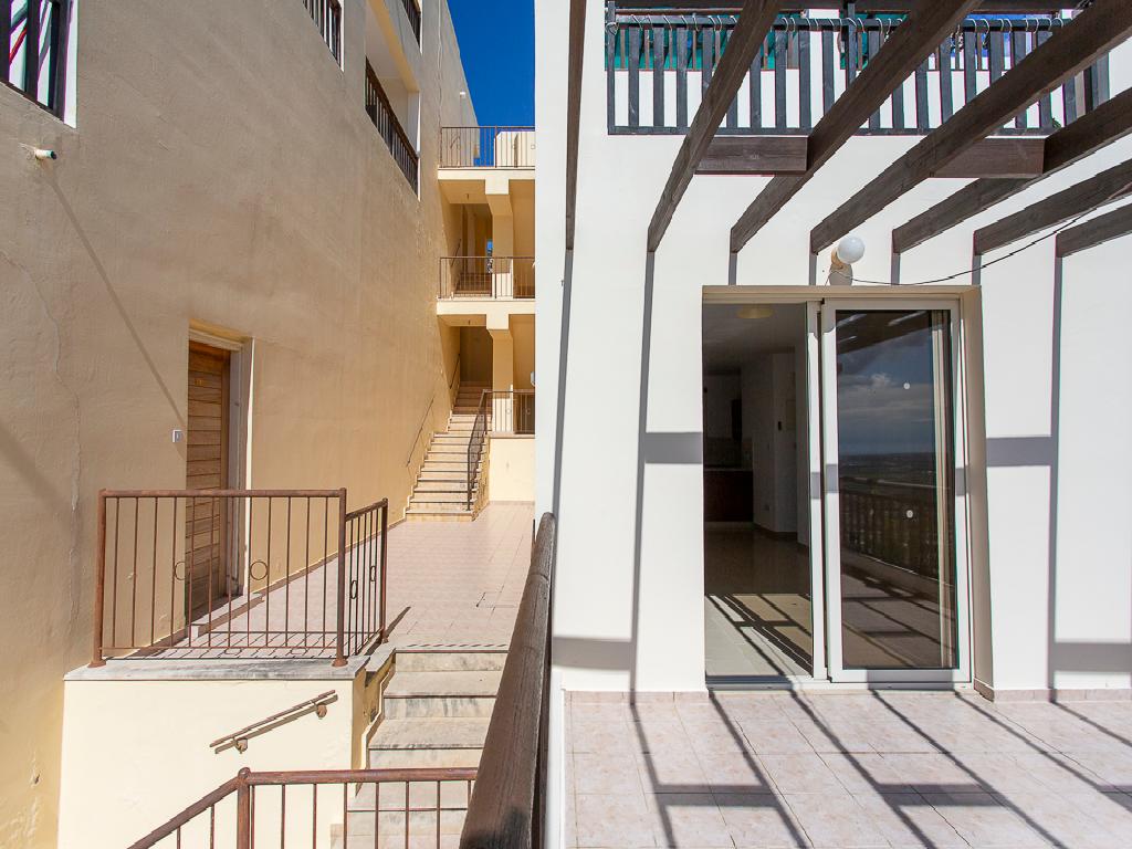 Flat-Pegeia-PR42349