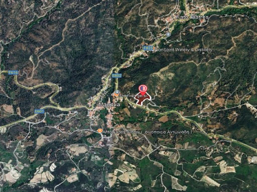 Field-Mandria-PR43858