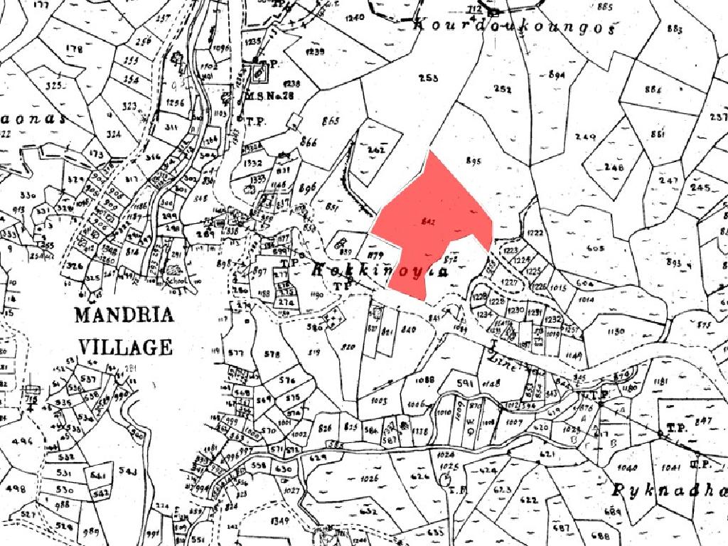 Field-Mandria-PR43858