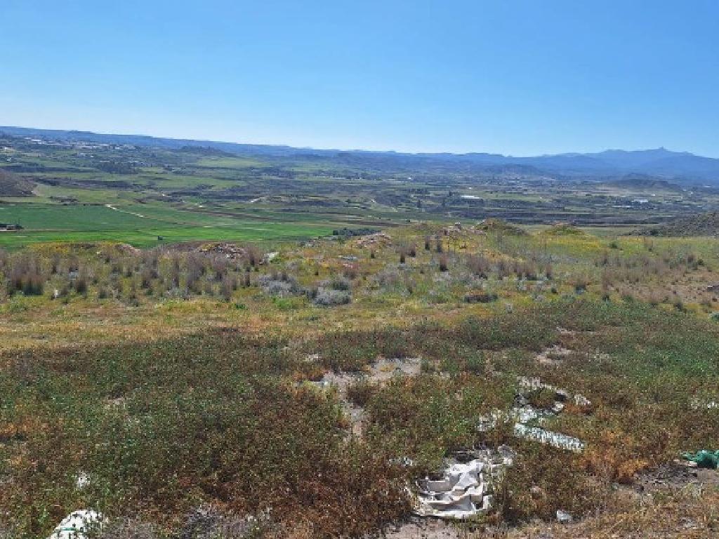 Field-Arediou-PR45883