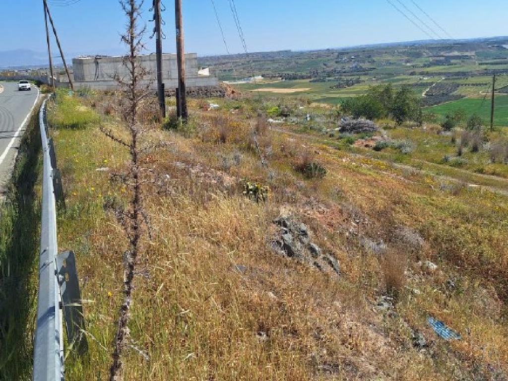Field-Arediou-PR45883