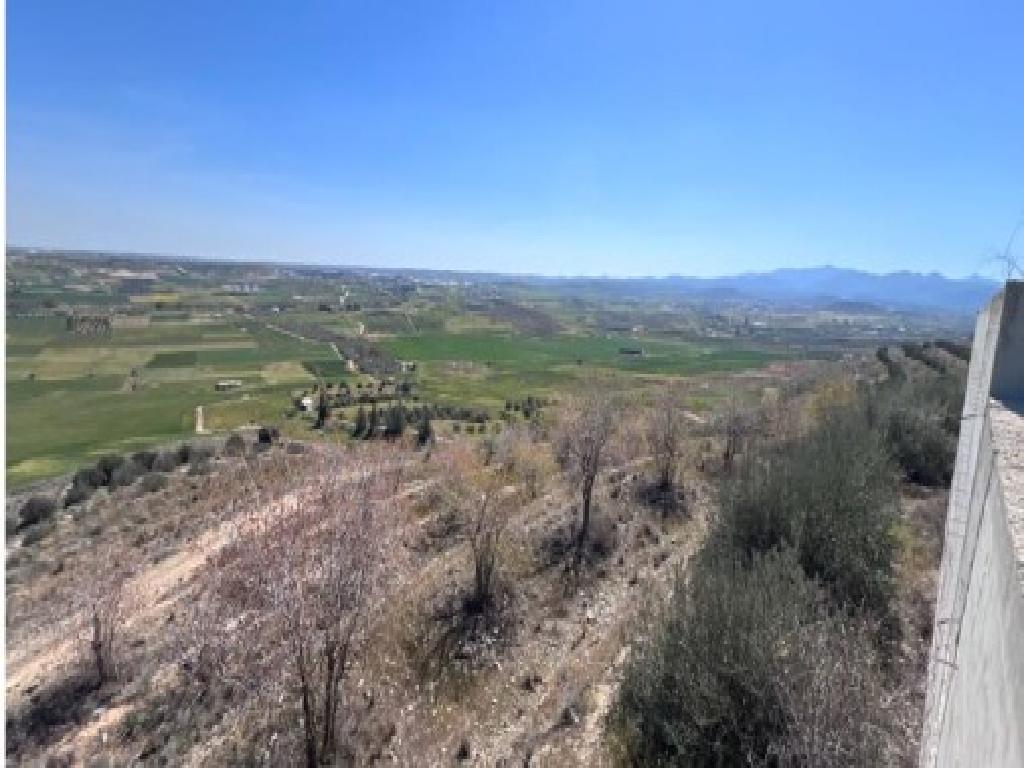 Field-Arediou-PR45883