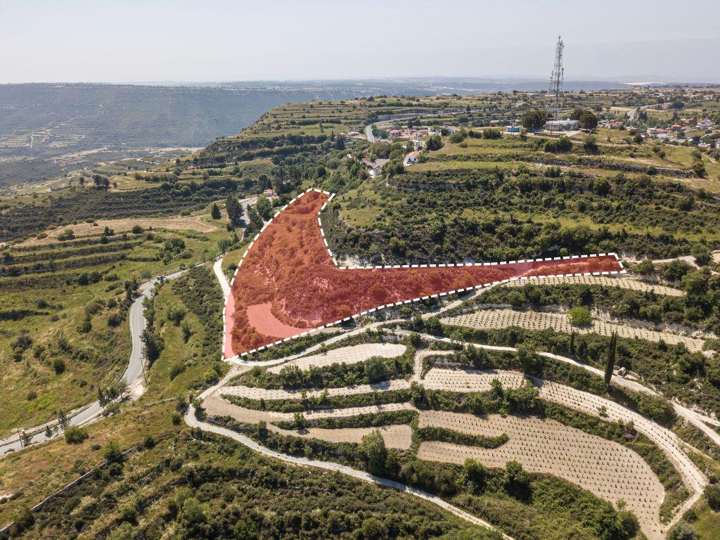 Field (Share) - Pachna, Limassol