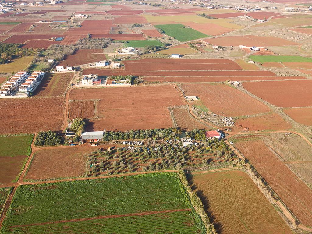 Field-Liopetri-PR36540