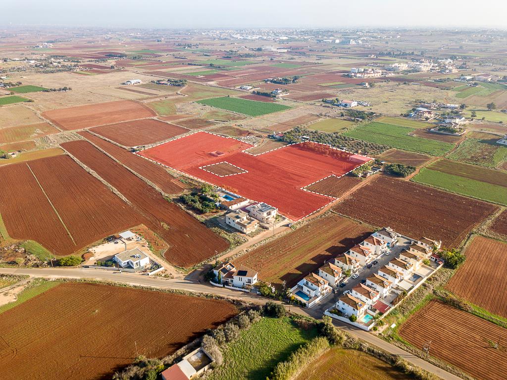Field-Liopetri-PR36540