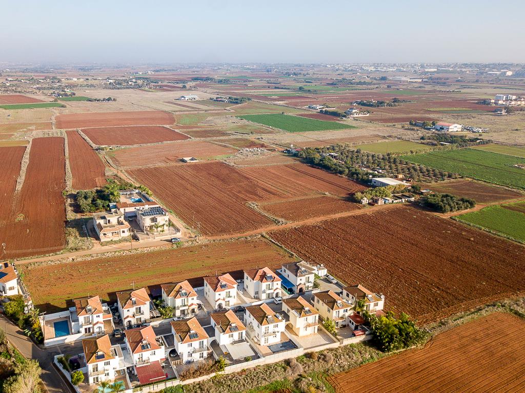 Field-Liopetri-PR36540
