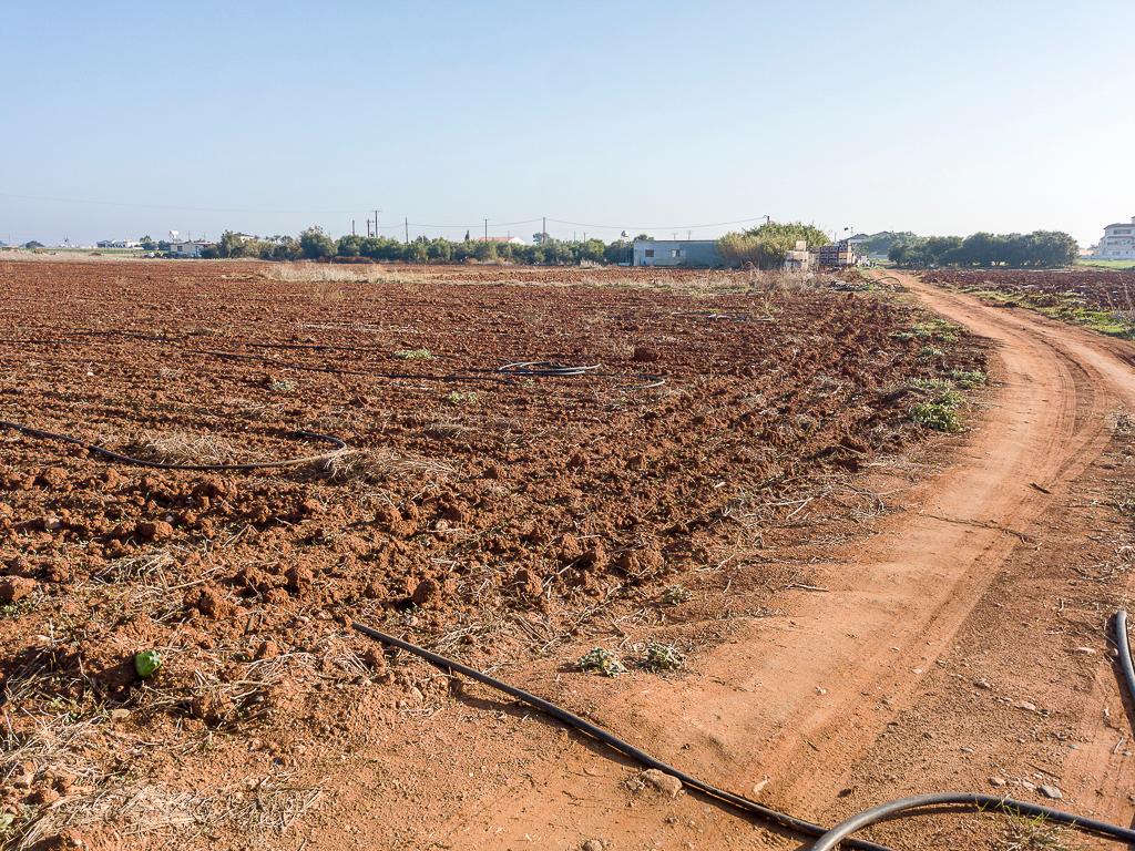 Field-Liopetri-PR36540