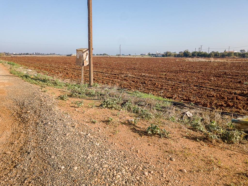 Field-Liopetri-PR36540