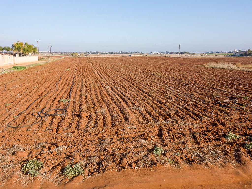 Field-Liopetri-PR36540
