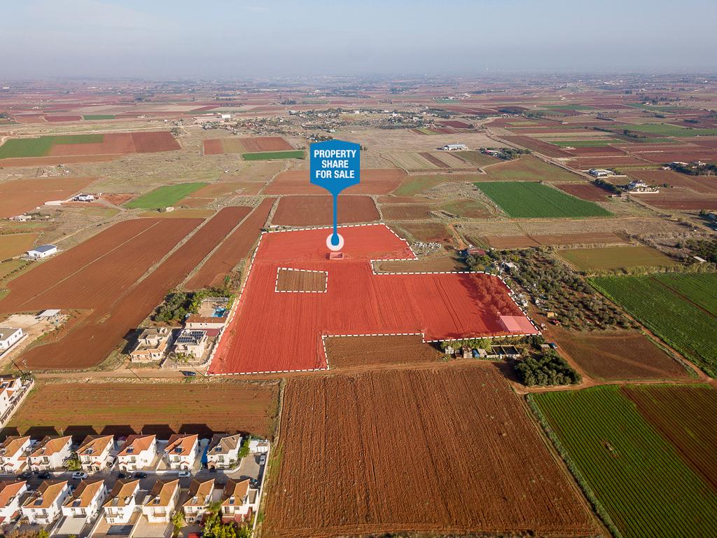 Field-Liopetri-PR36540