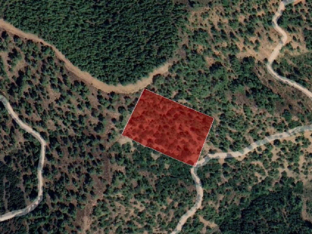 Field-Gerakies-PR37440