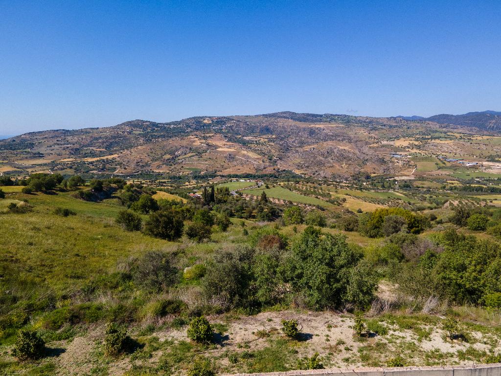Field-Simou-PR38241