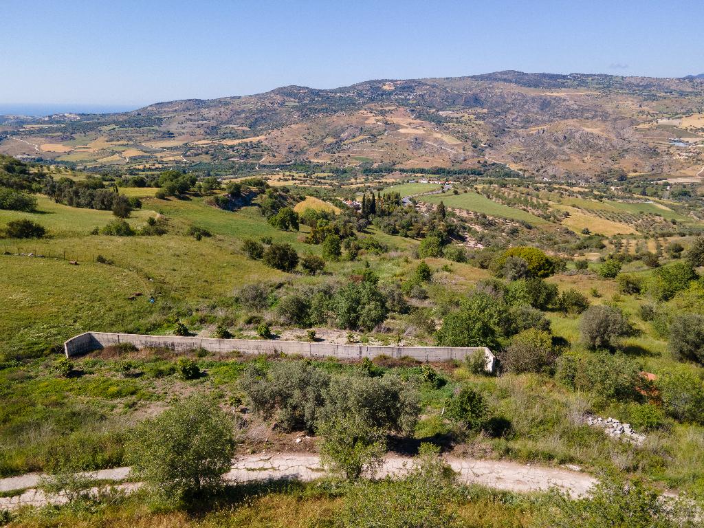 Field-Simou-PR38241