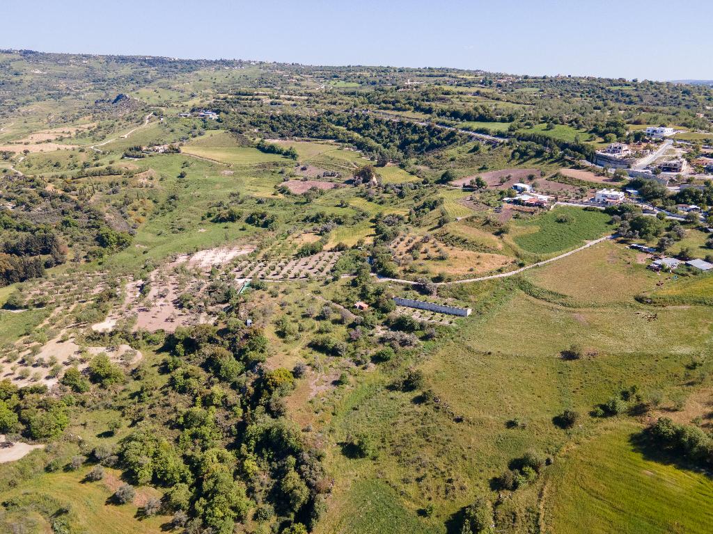 Field-Simou-PR38241