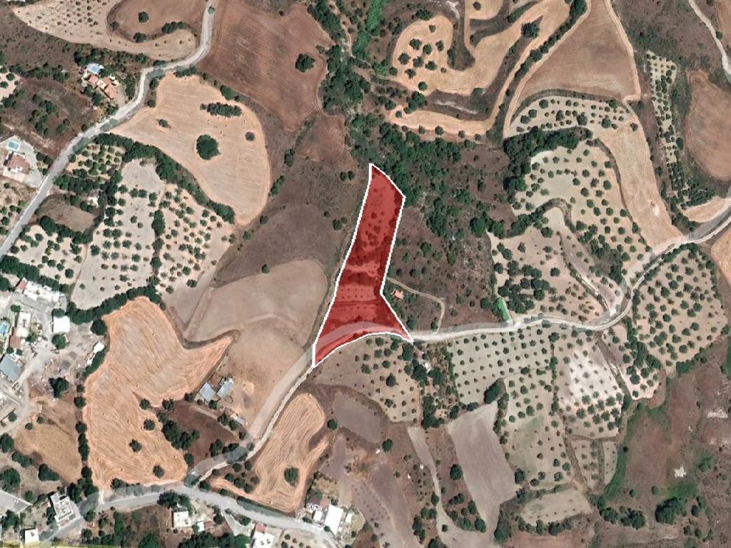 Field-Simou-PR38241