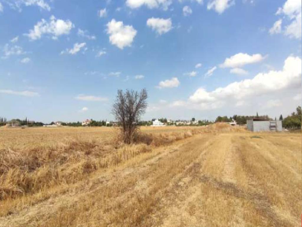 Field-Ergates-PR37706