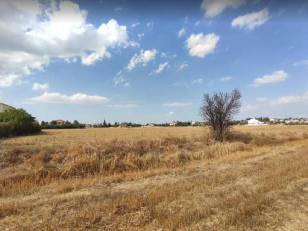 Field-Ergates-PR37706
