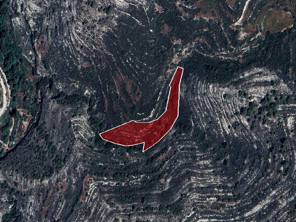 Field-Koilani-PR39282
