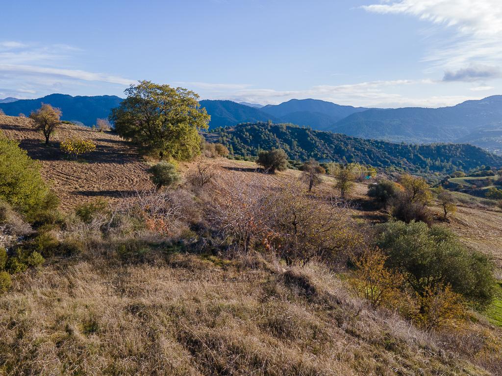 Field-Kritou Marottou-PR39461