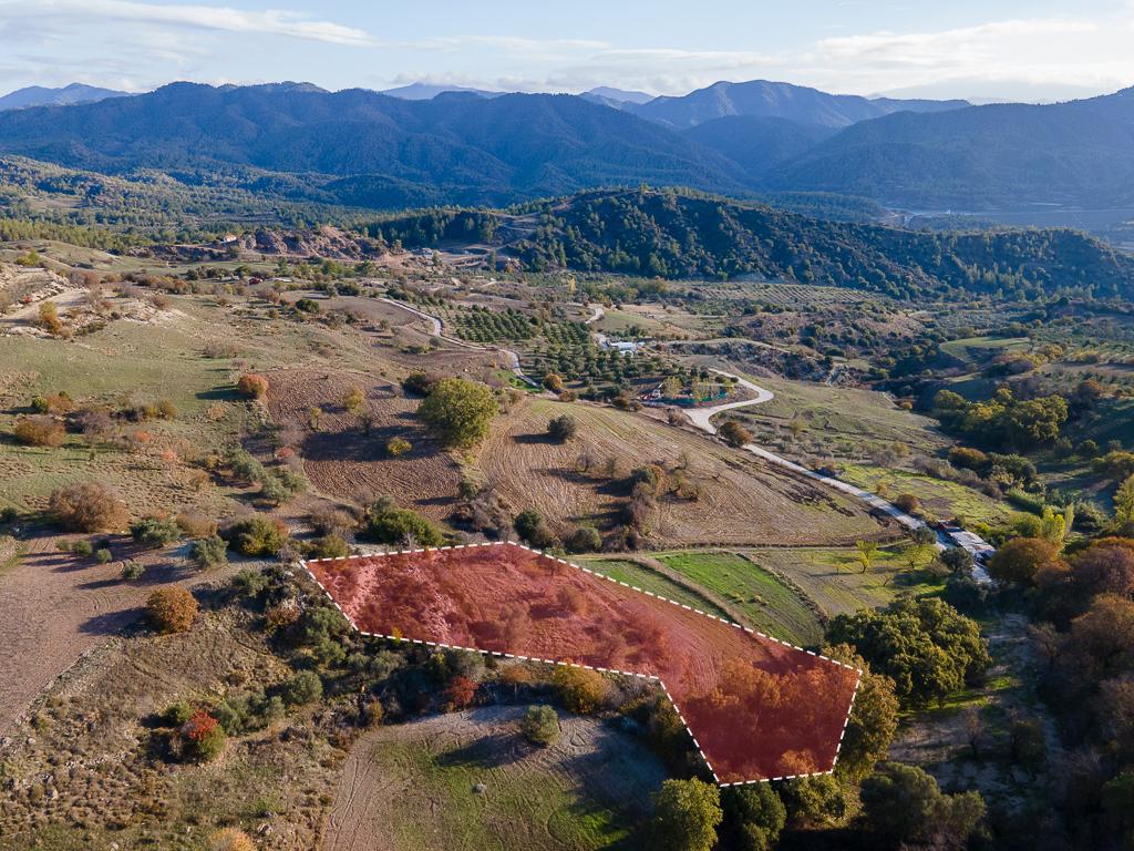 Field-Kritou Marottou-PR39461