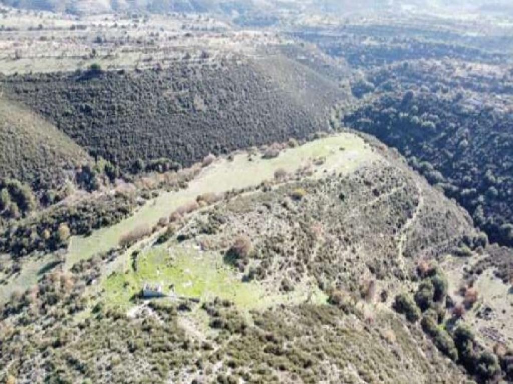 Field-Dora-PR39547