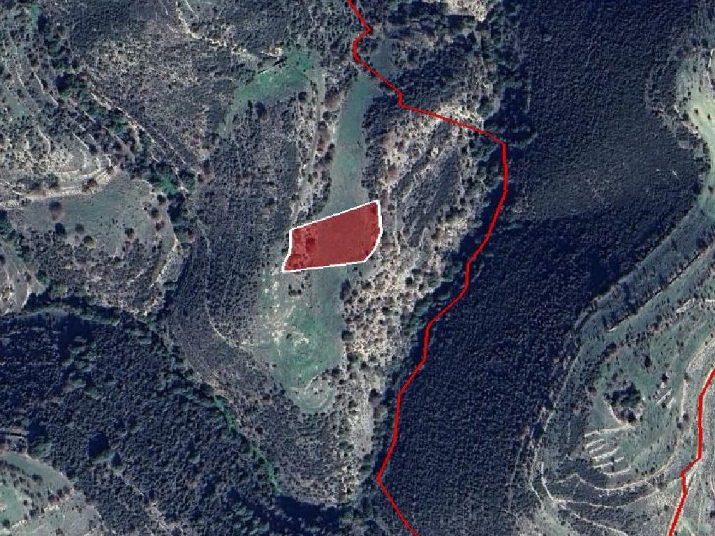 Field-Dora-PR39547