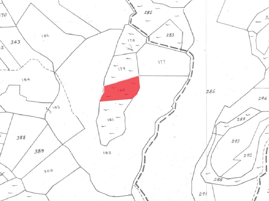 Field-Dora-PR39547