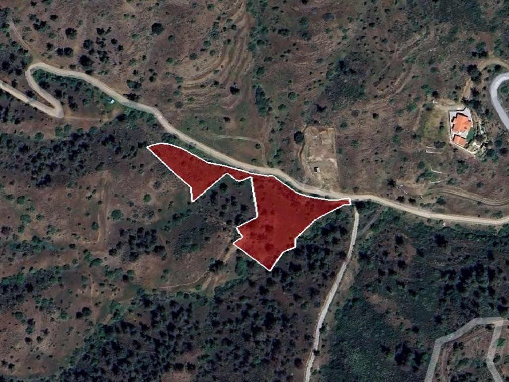 Field-Gourri-PR39738
