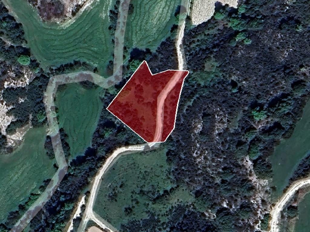 Field-Polemi-PR40929